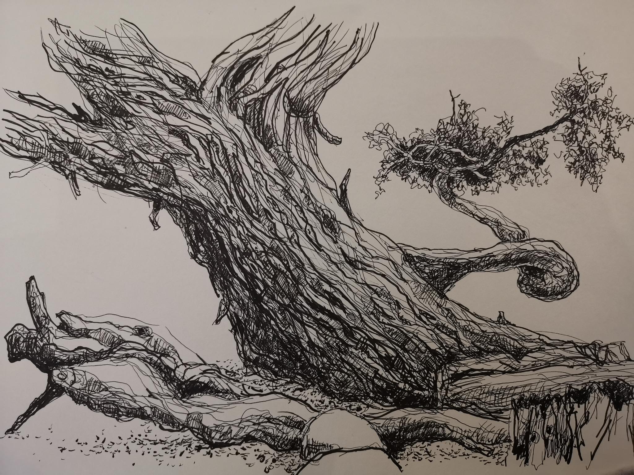 Der Natur auf der Spur